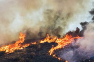 california wildfire employment lawyer